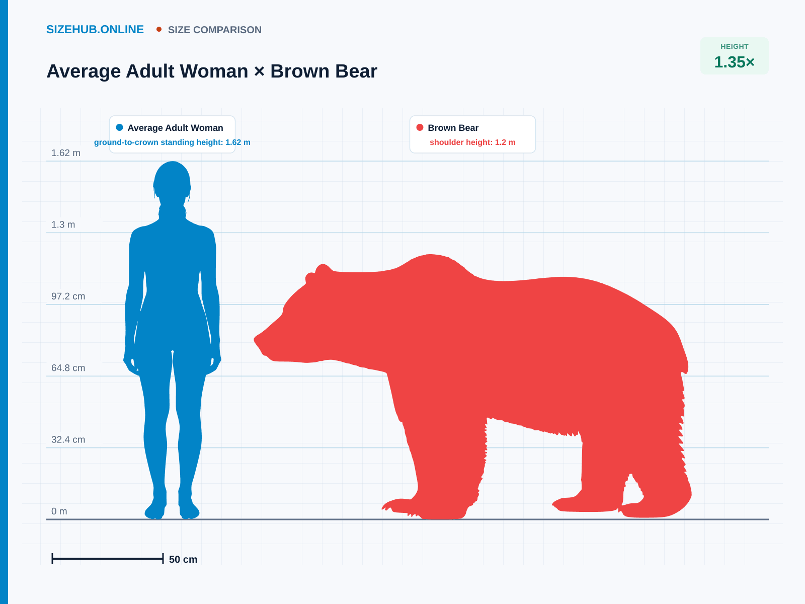 Average Adult Woman × Brown Bear · Size comparison