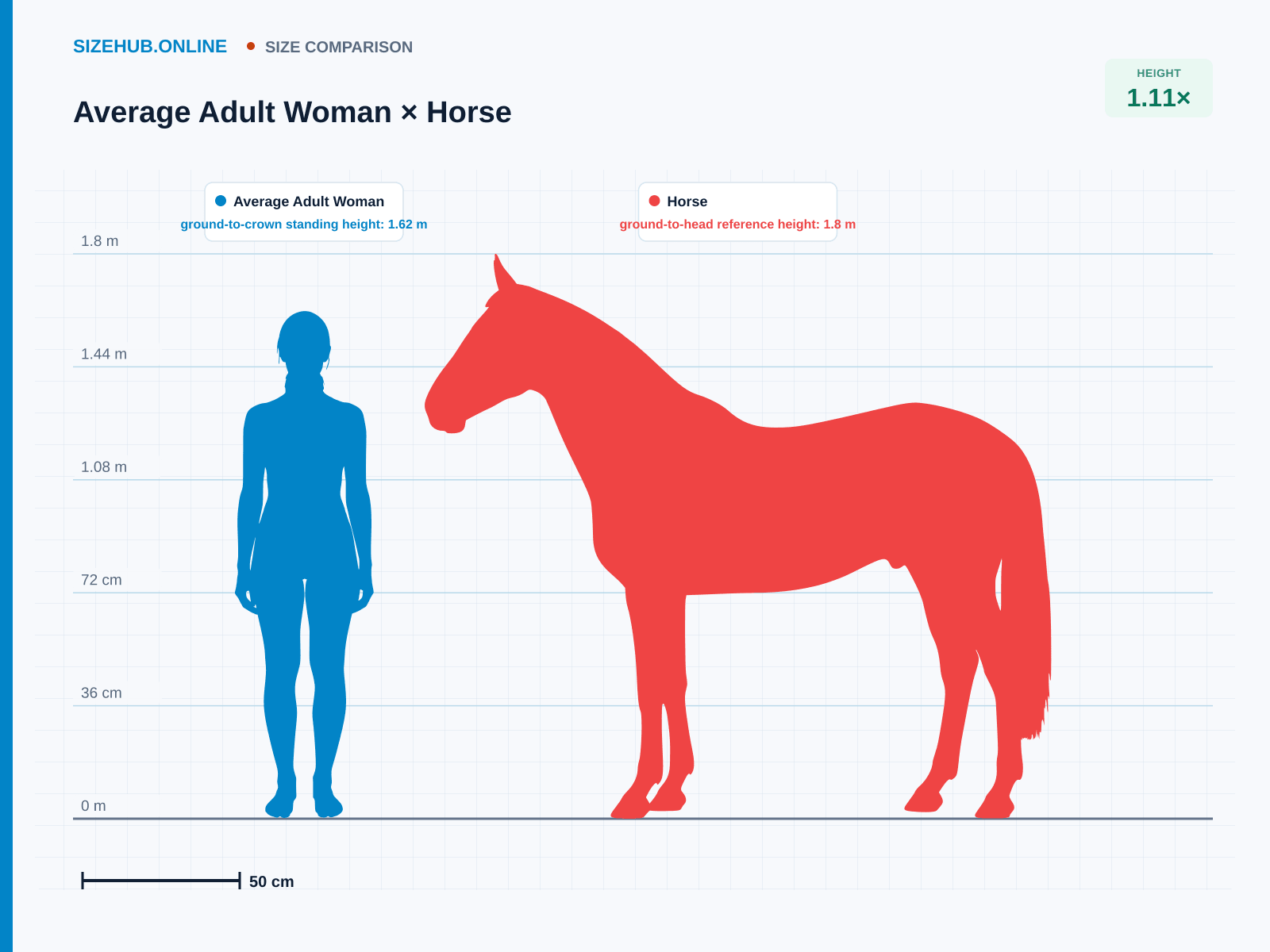 Average Adult Woman × Horse · Size comparison