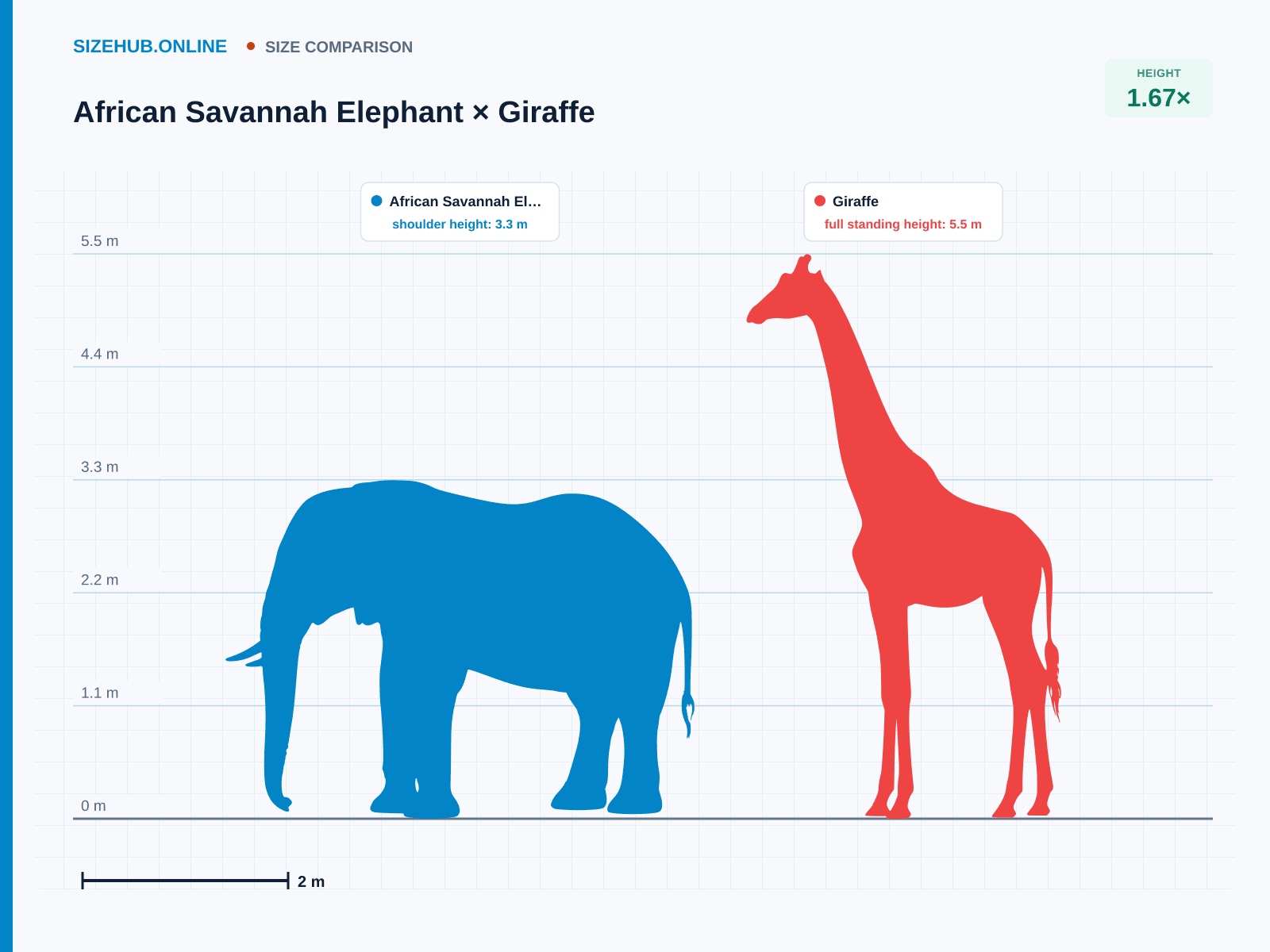African Savannah Elephant × Giraffe · Size comparison