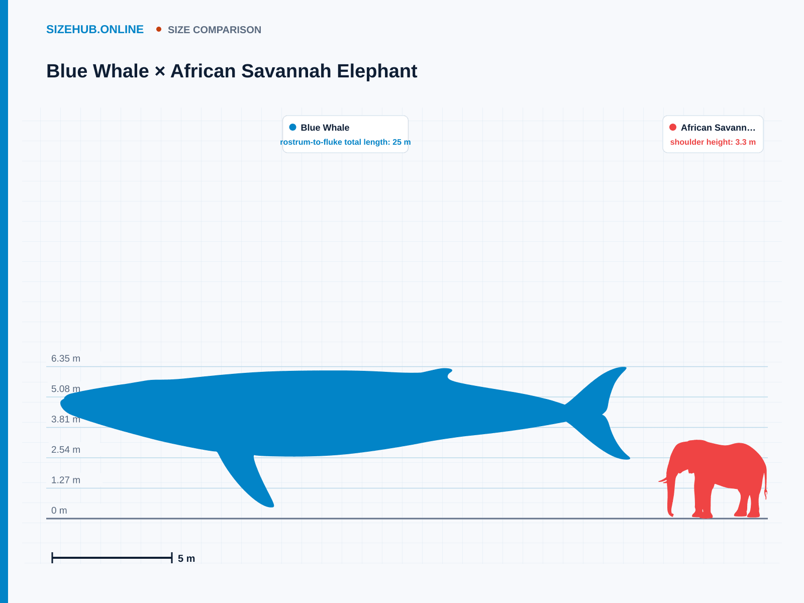 Blue Whale × African Savannah Elephant · Size comparison