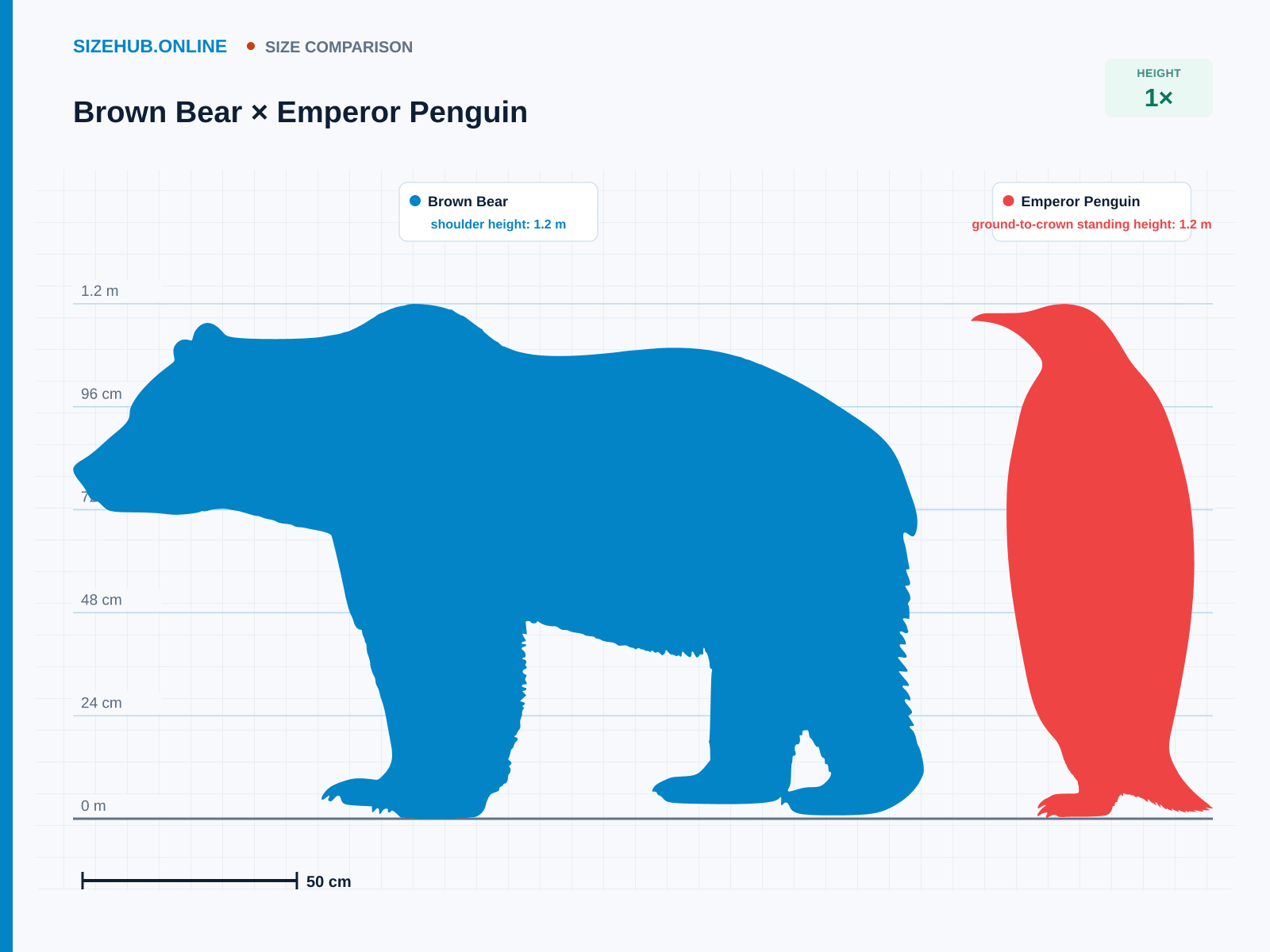 Brown Bear × Emperor Penguin · Size comparison