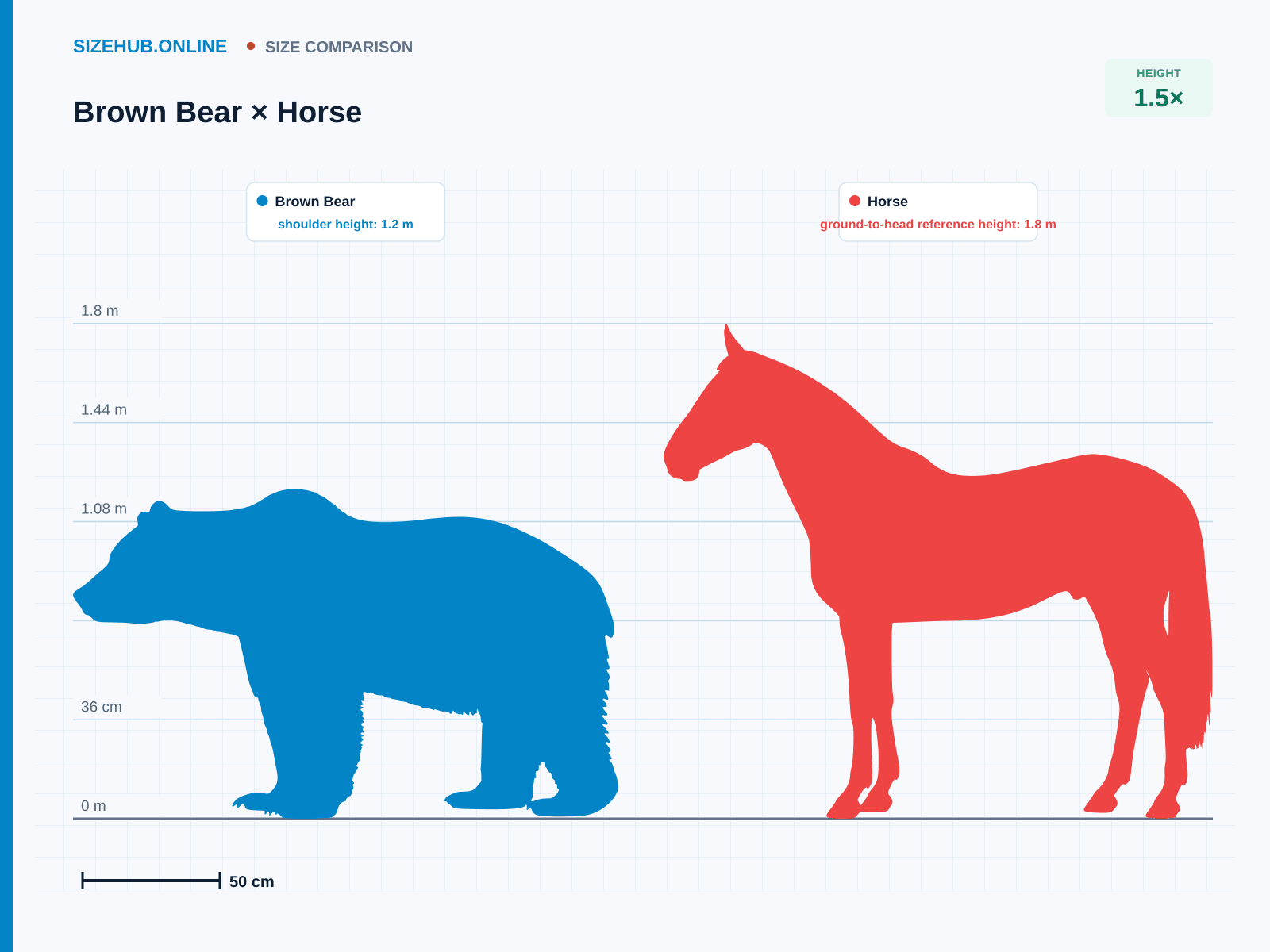 Brown Bear × Horse · Size comparison