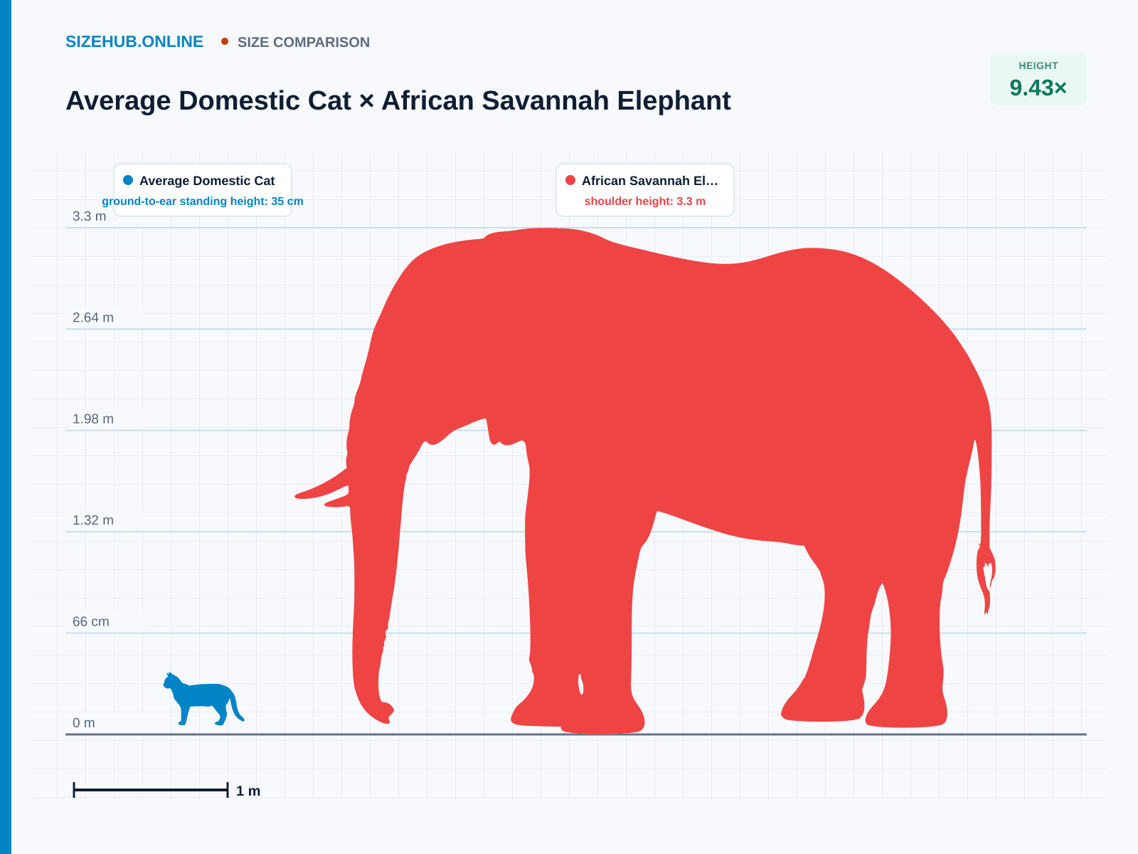 Average Domestic Cat × African Savannah Elephant · Size comparison