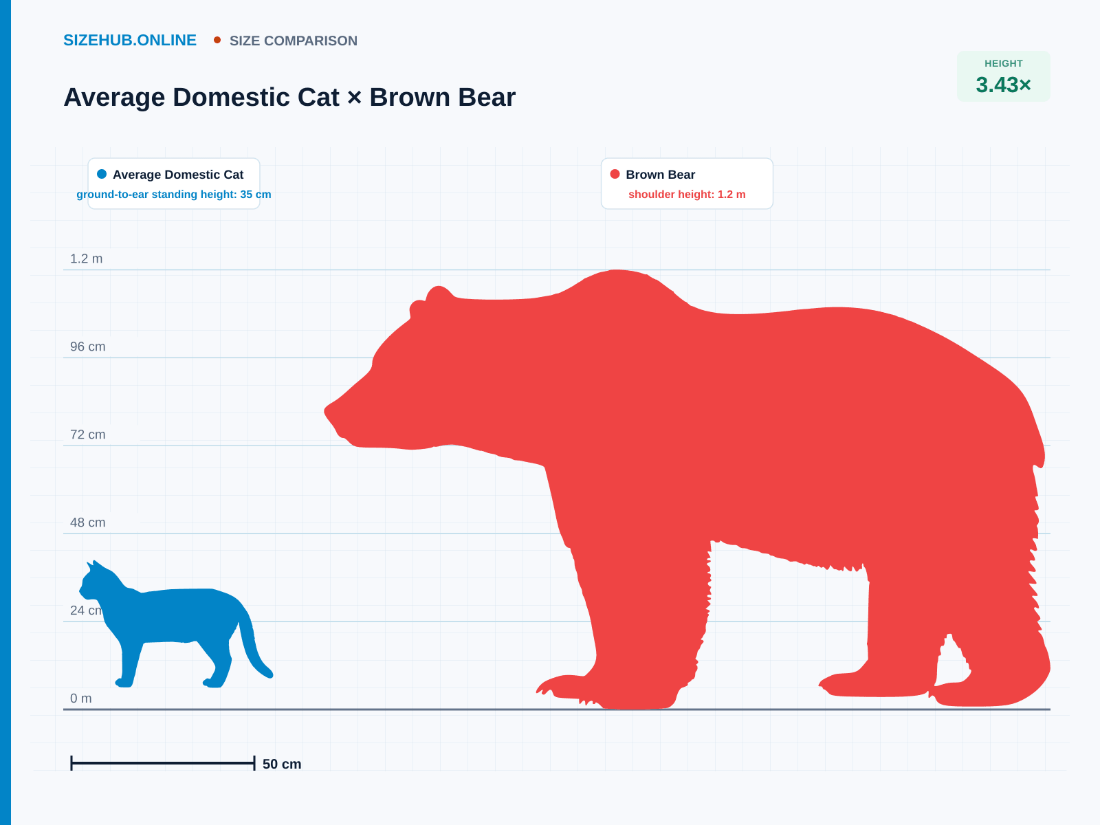 Average Domestic Cat × Brown Bear · Size comparison
