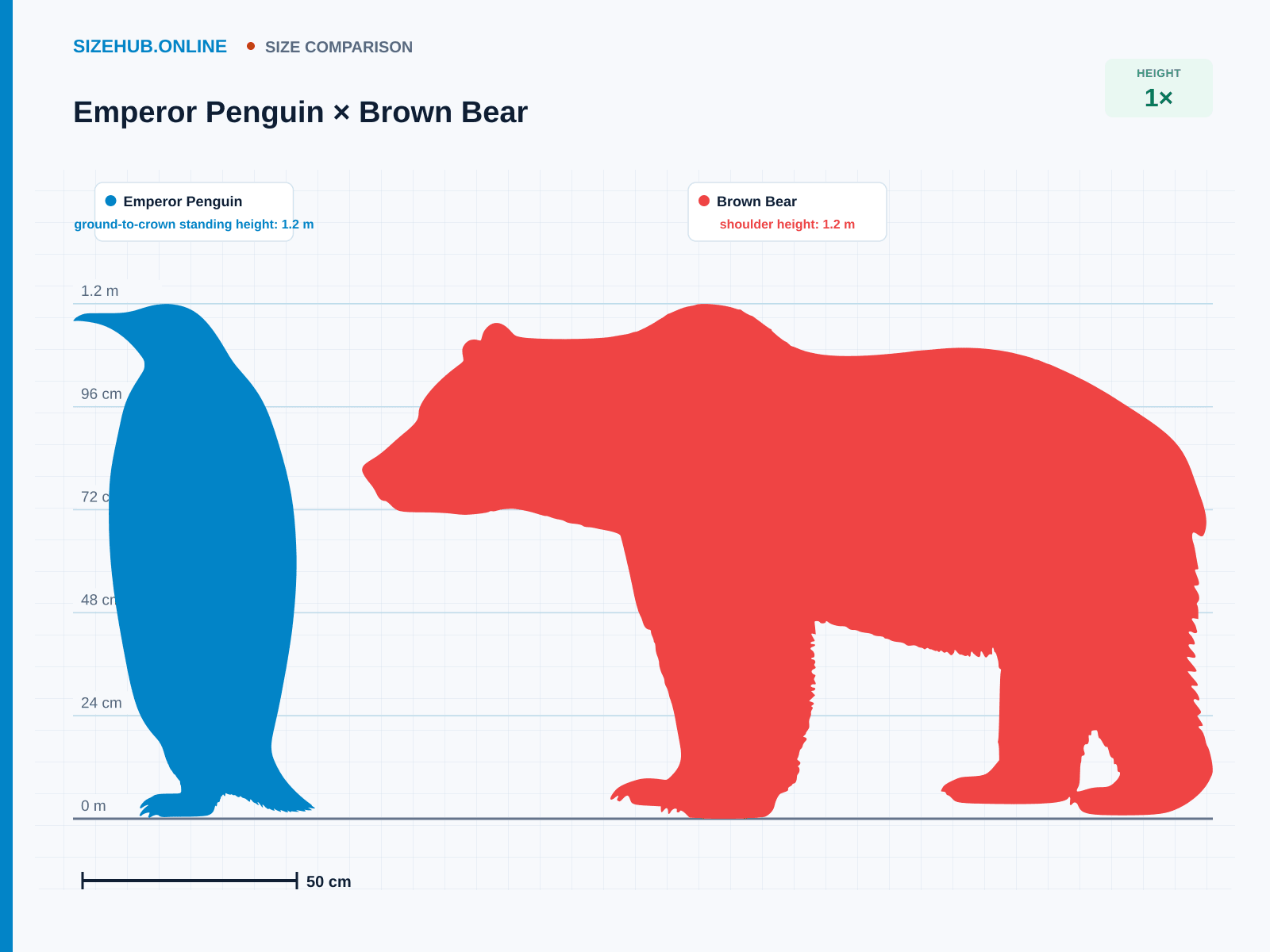 Emperor Penguin × Brown Bear · Size comparison