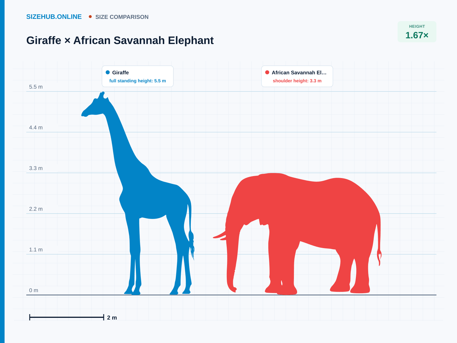 Giraffe × African Savannah Elephant · Size comparison