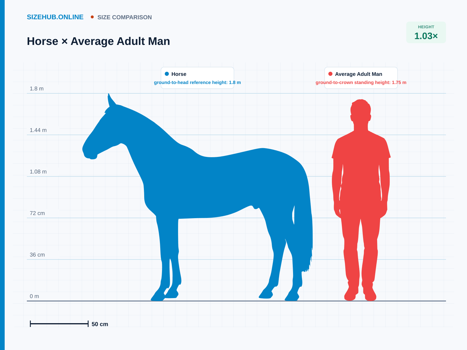 Horse × Average Adult Man · Size comparison