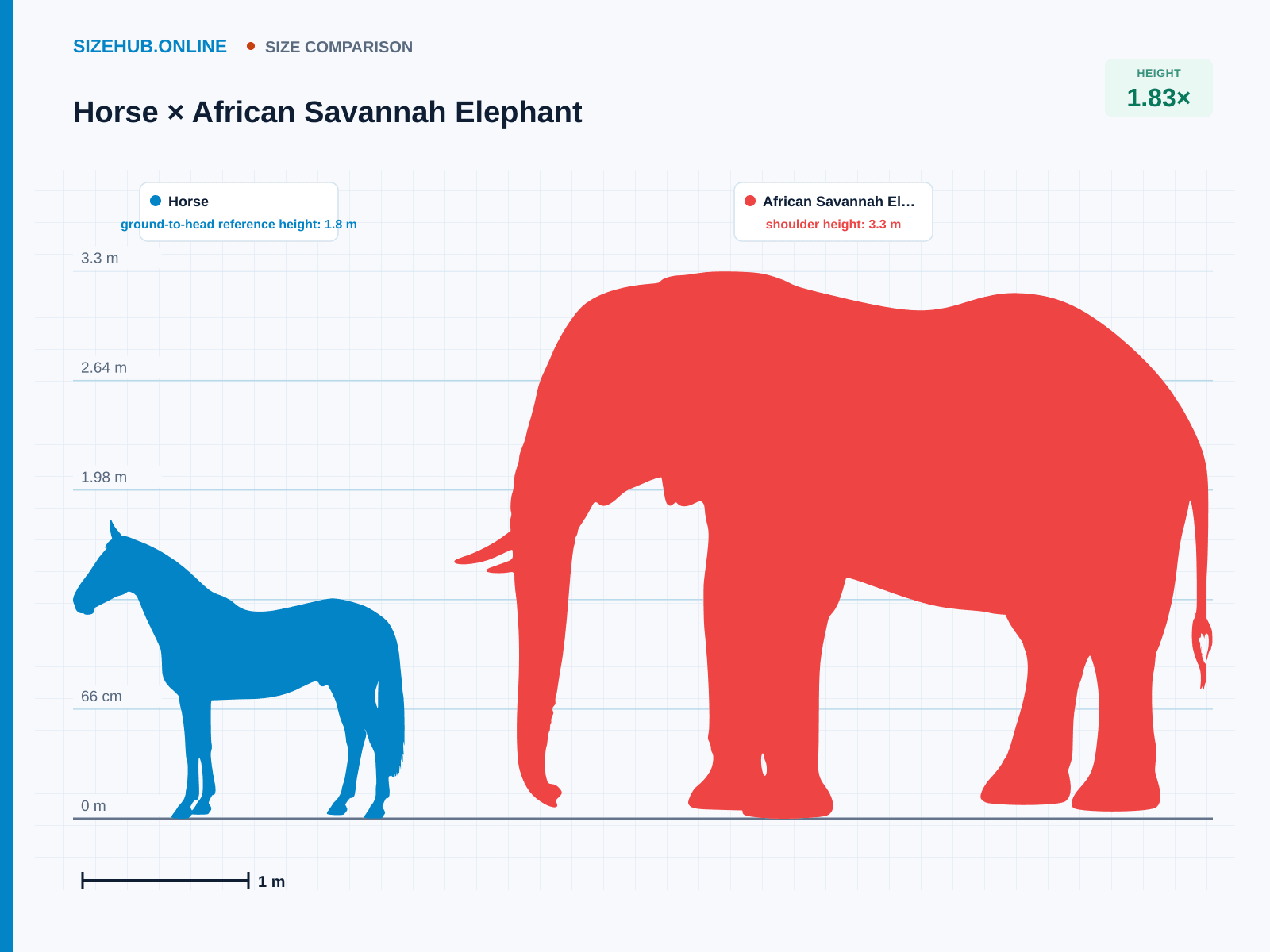 Horse × African Savannah Elephant · Size comparison