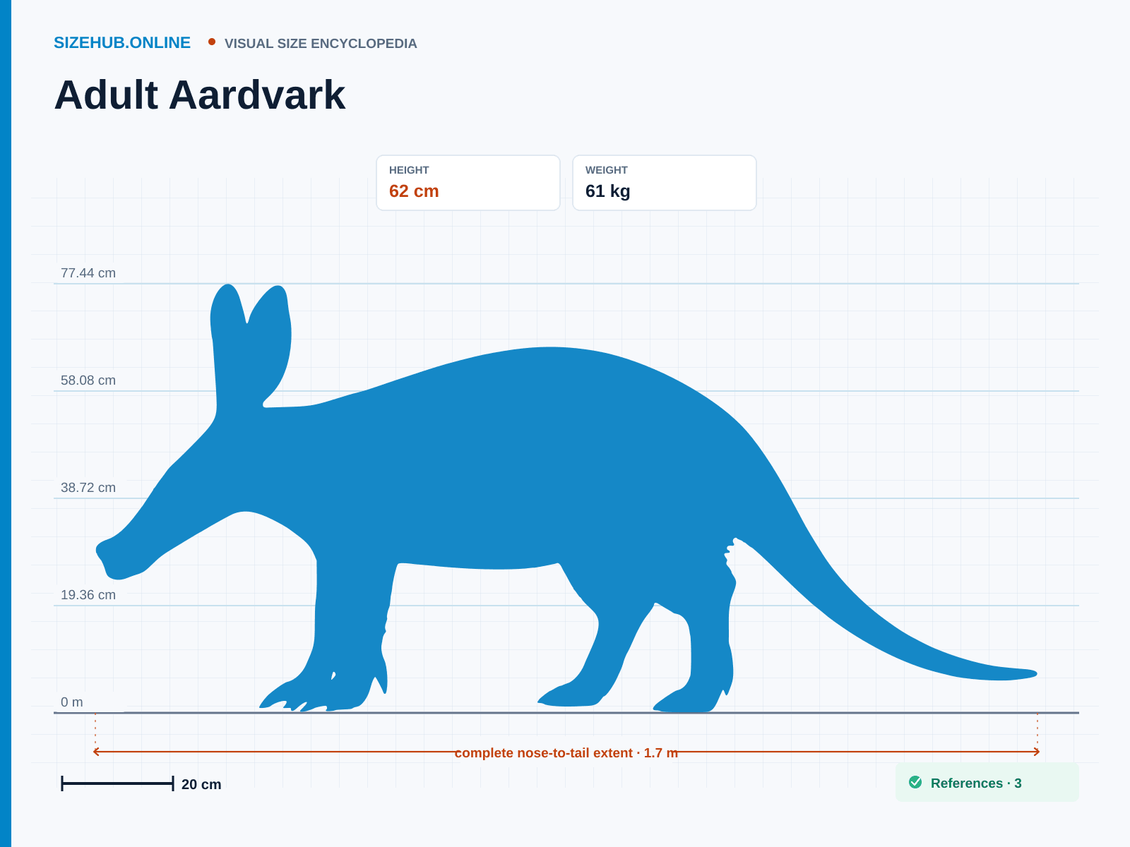 Adult Aardvark: Size infographic · Height 62 cm · Length 1.7 m · Width 50 cm