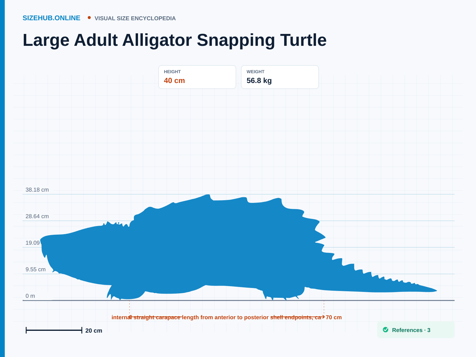 Large Adult Alligator Snapping Turtle: Size infographic · Height 40 cm · Length 70 cm