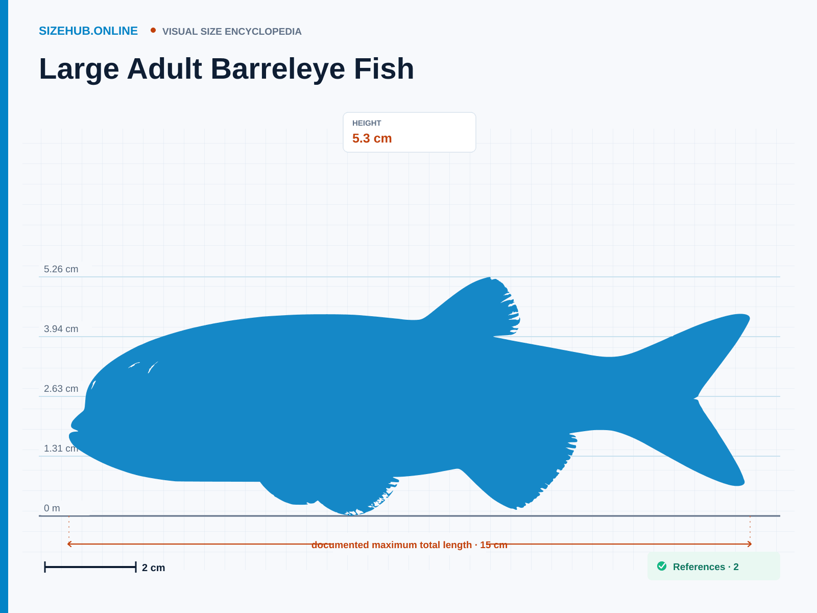 Large Adult Barreleye Fish: Size infographic · Height 5.3 cm · Length 15 cm
