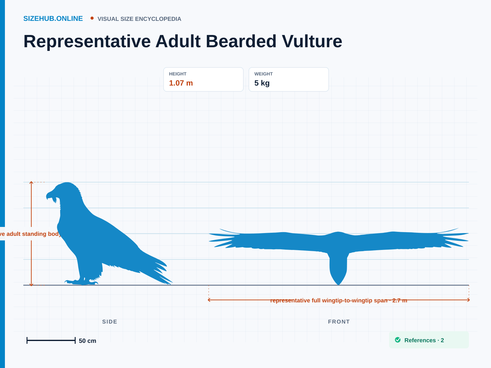 Representative Adult Bearded Vulture: Size infographic · Height 1.07 m · Width 2.7 m