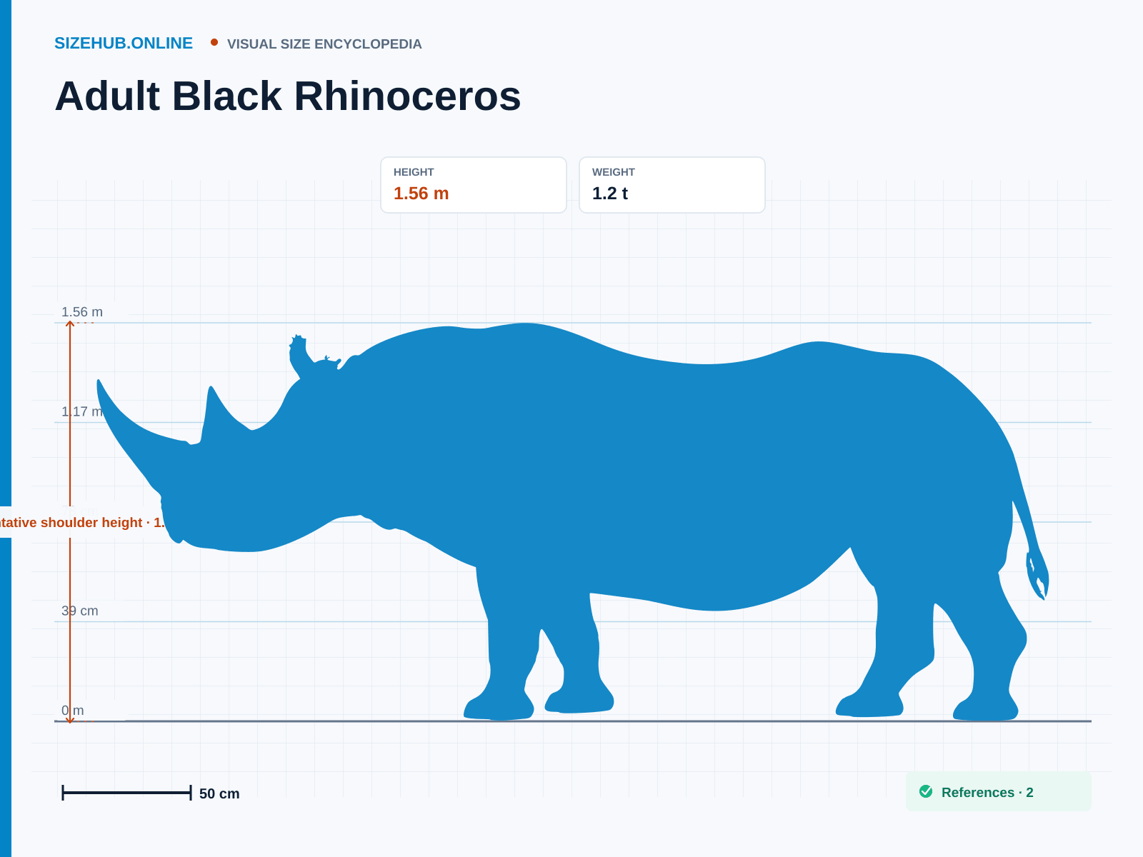 Adult Black Rhinoceros: Size infographic · Height 1.56 m · Length 3.5 m