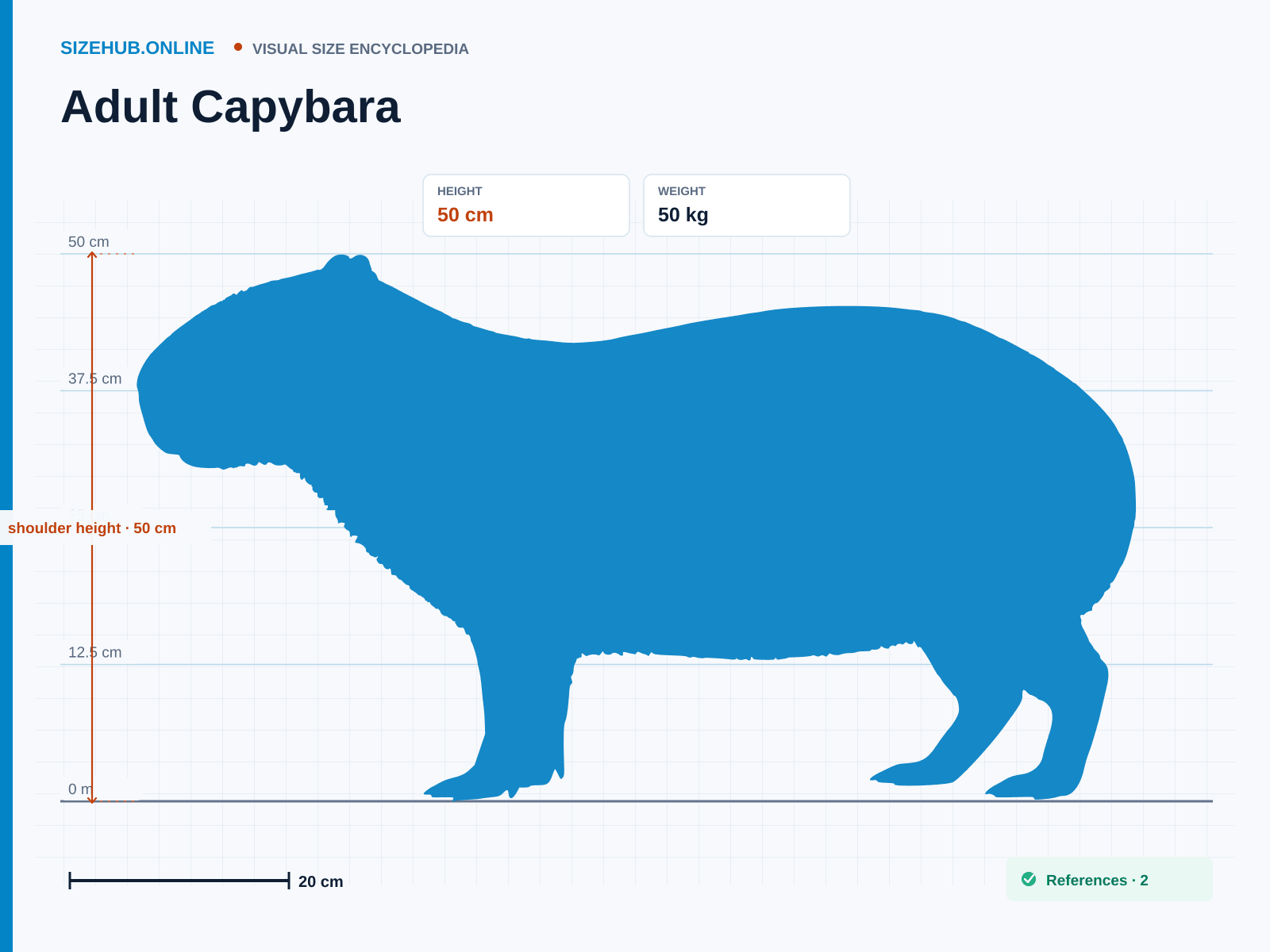 Adult Capybara: Size infographic · Height 50 cm · Length 1.2 m
