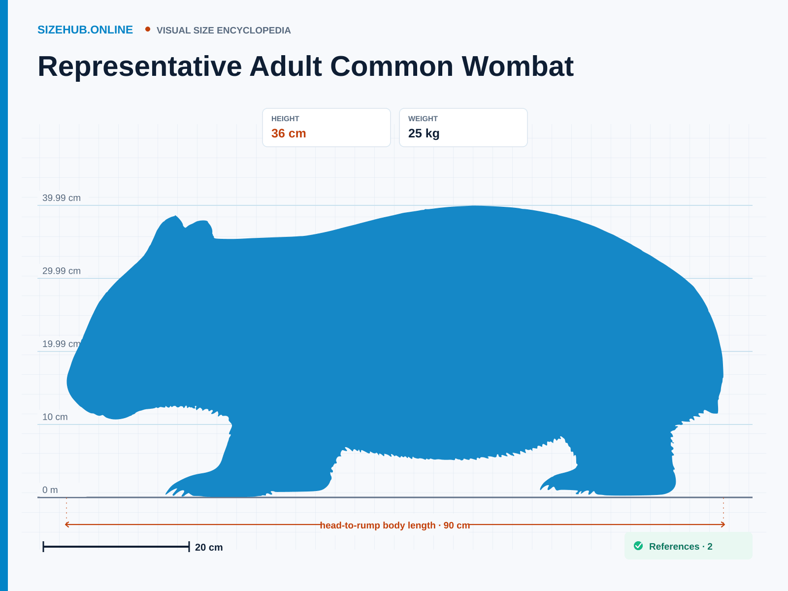 Representative Adult Common Wombat: Size infographic · Height 36 cm · Length 90 cm