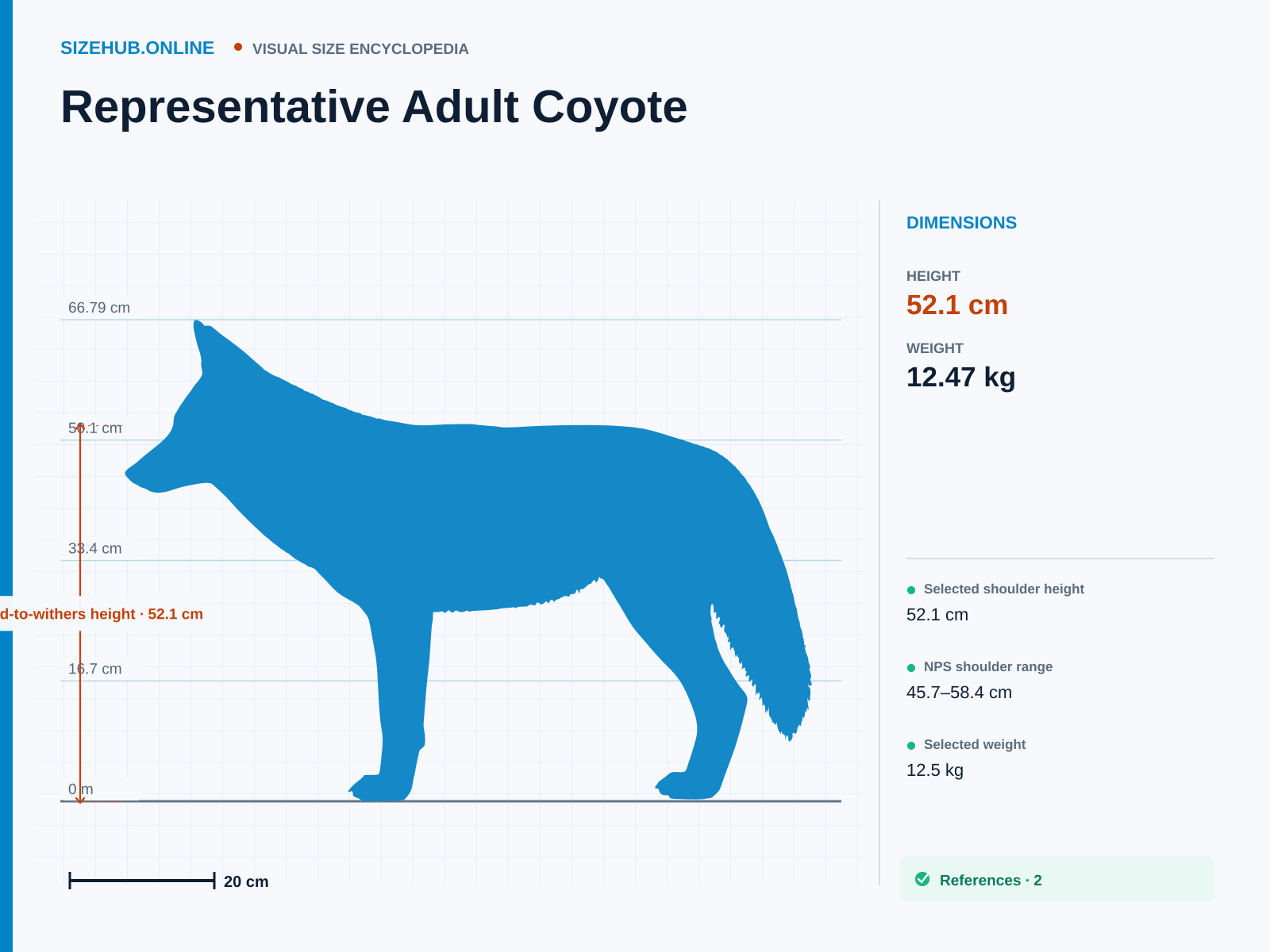 Representative Adult Coyote: Size infographic · Height 52.1 cm