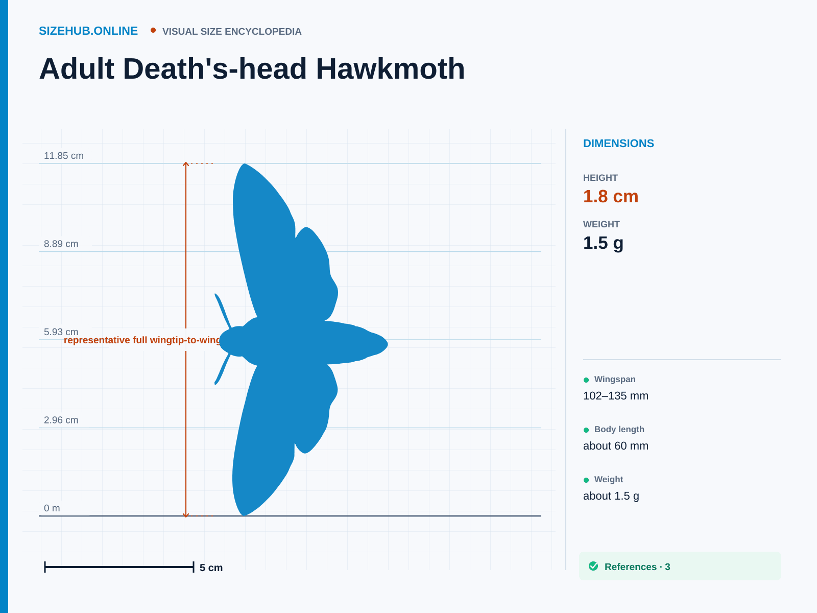 Adult Death's-head Hawkmoth: Size infographic · Height 1.8 cm · Length 6 cm · Width 11.85 cm