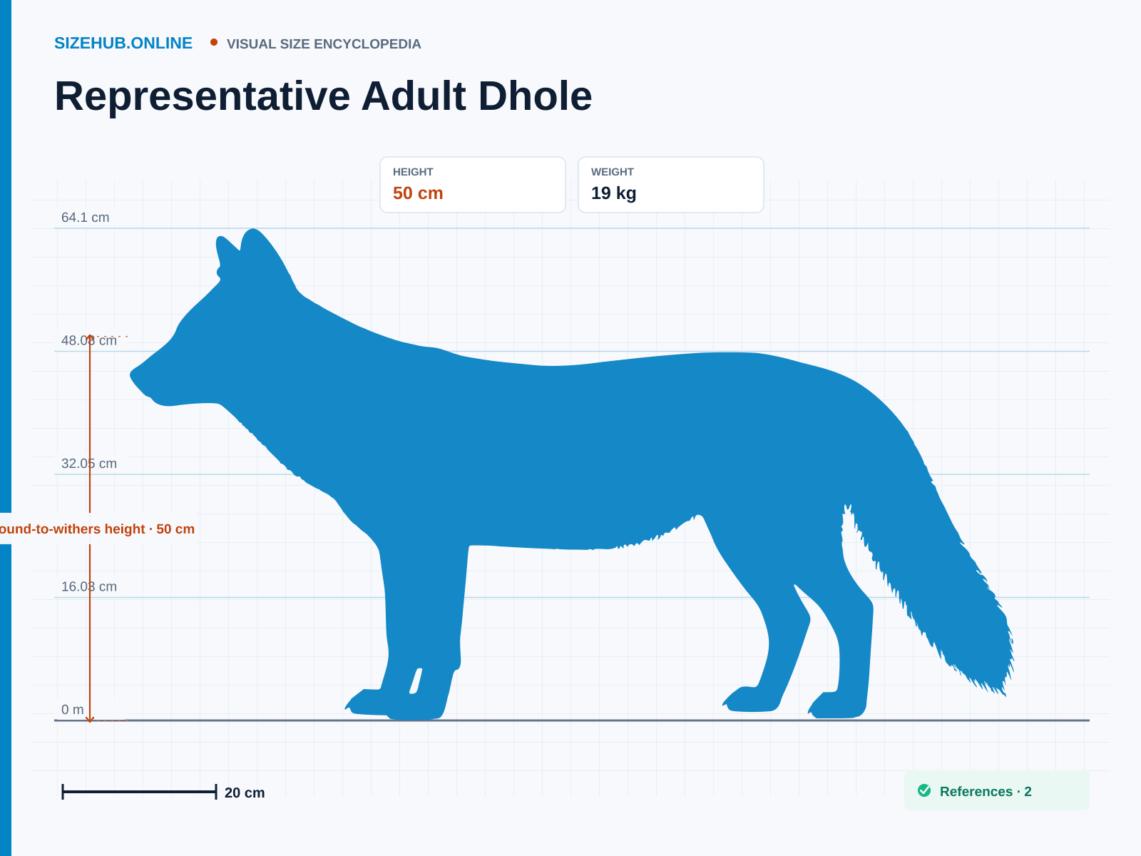 Representative Adult Dhole: Size infographic · Height 50 cm