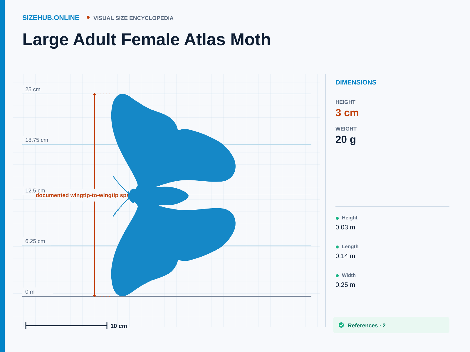 Large Adult Female Atlas Moth: Size infographic · Height 3 cm · Length 14 cm · Width 25 cm