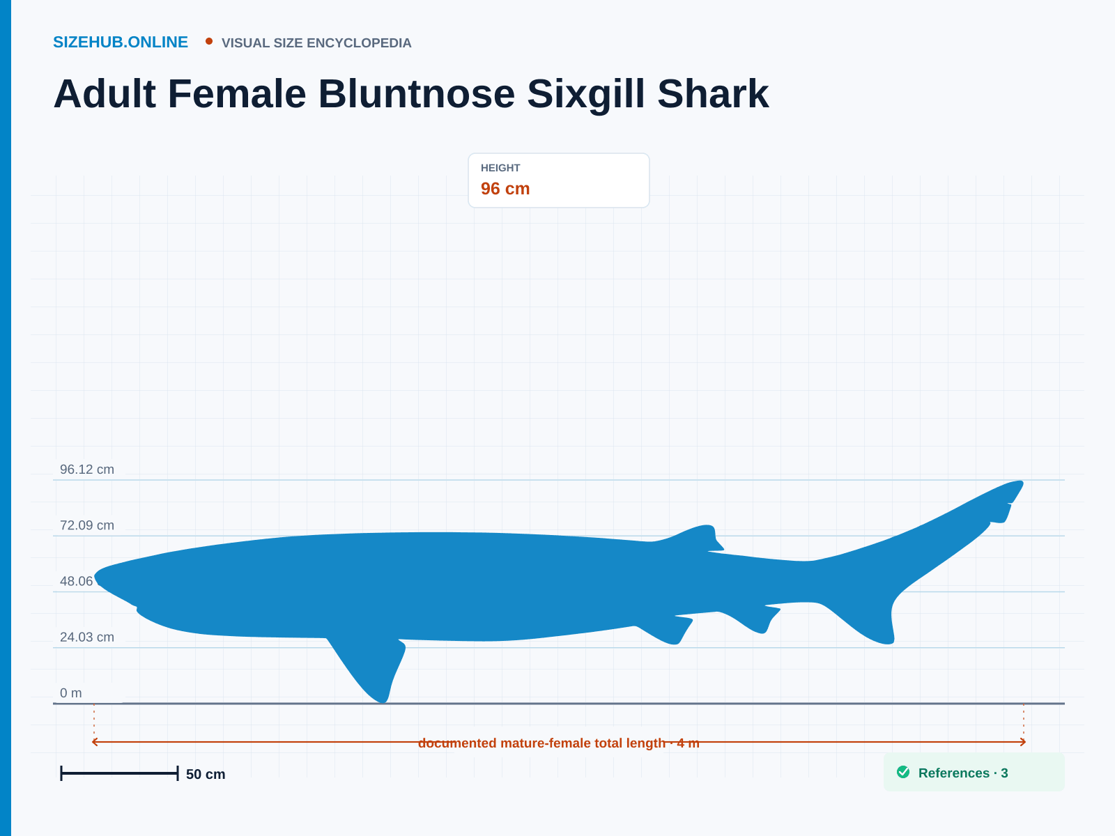 Adult Female Bluntnose Sixgill Shark: Size infographic · Height 96 cm · Length 4 m