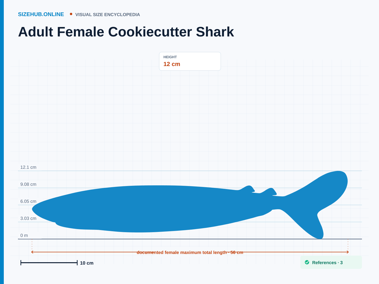 Adult Female Cookiecutter Shark: Size infographic · Height 12 cm · Length 56 cm