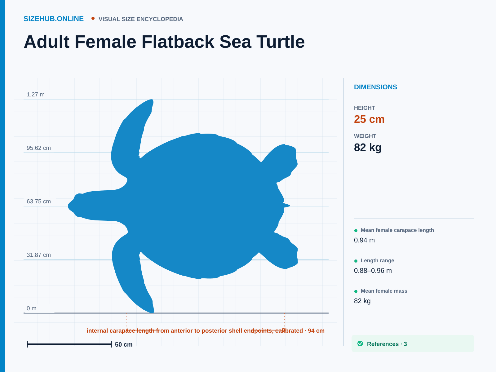 Adult Female Flatback Sea Turtle: Size infographic · Height 25 cm · Length 94 cm