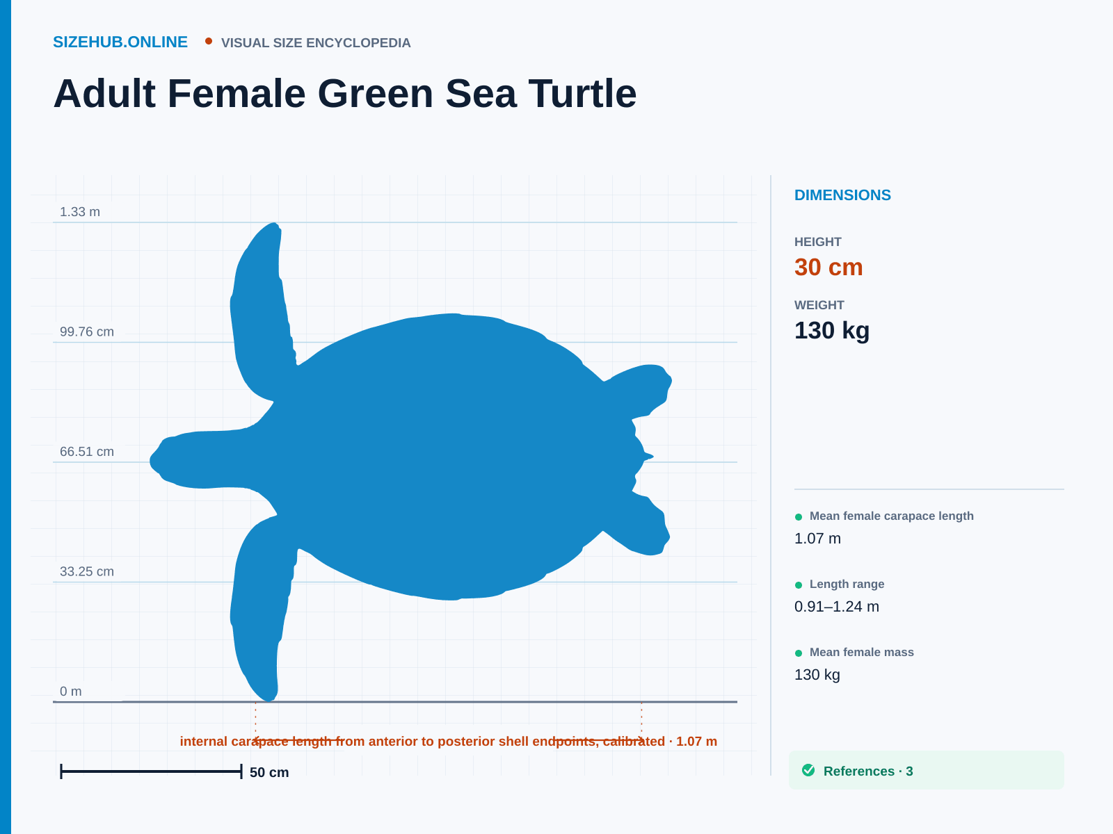 Adult Female Green Sea Turtle: Size infographic · Height 30 cm · Length 1.07 m