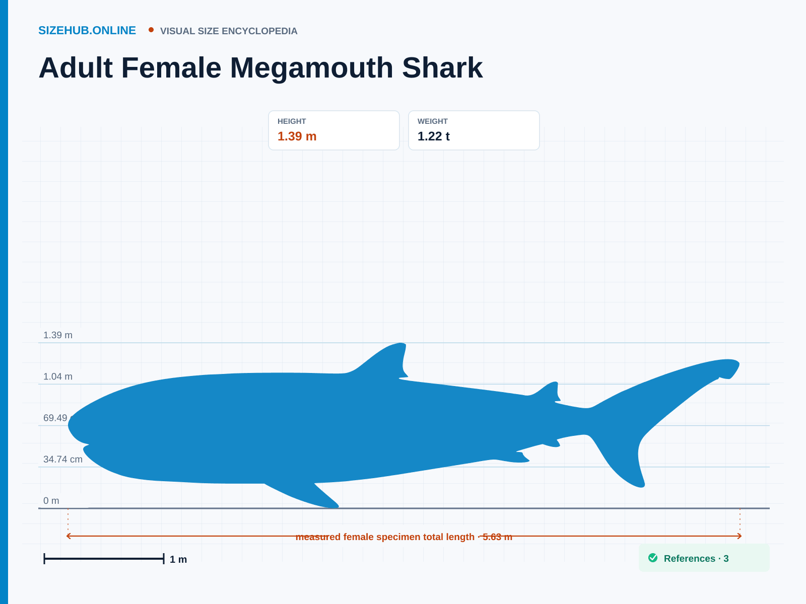 Adult Female Megamouth Shark: Size infographic · Height 1.39 m · Length 5.63 m