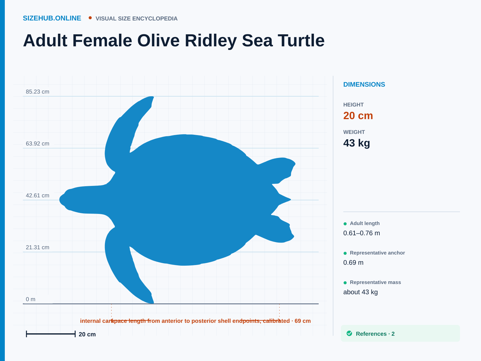 Adult Female Olive Ridley Sea Turtle: Size infographic · Height 20 cm · Length 69 cm