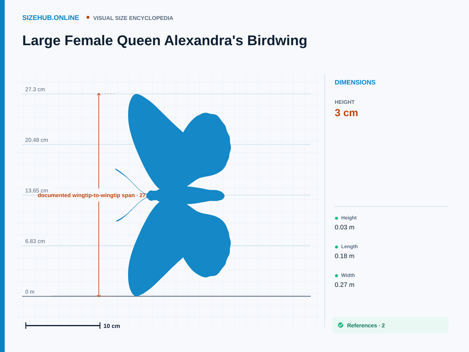 Large Female Queen Alexandra's Birdwing: Size infographic · Height 3 cm · Length 18 cm · Width 27.3 cm