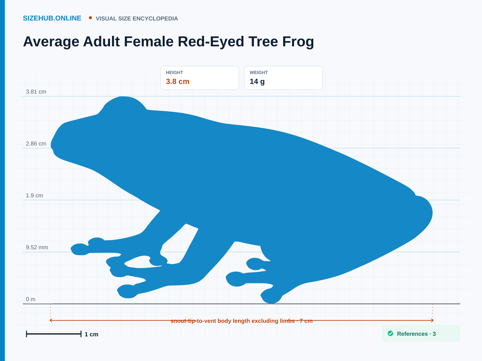 Average Adult Female Red-Eyed Tree Frog: Size infographic · Height 3.8 cm · Length 7 cm · Width 5.5 cm