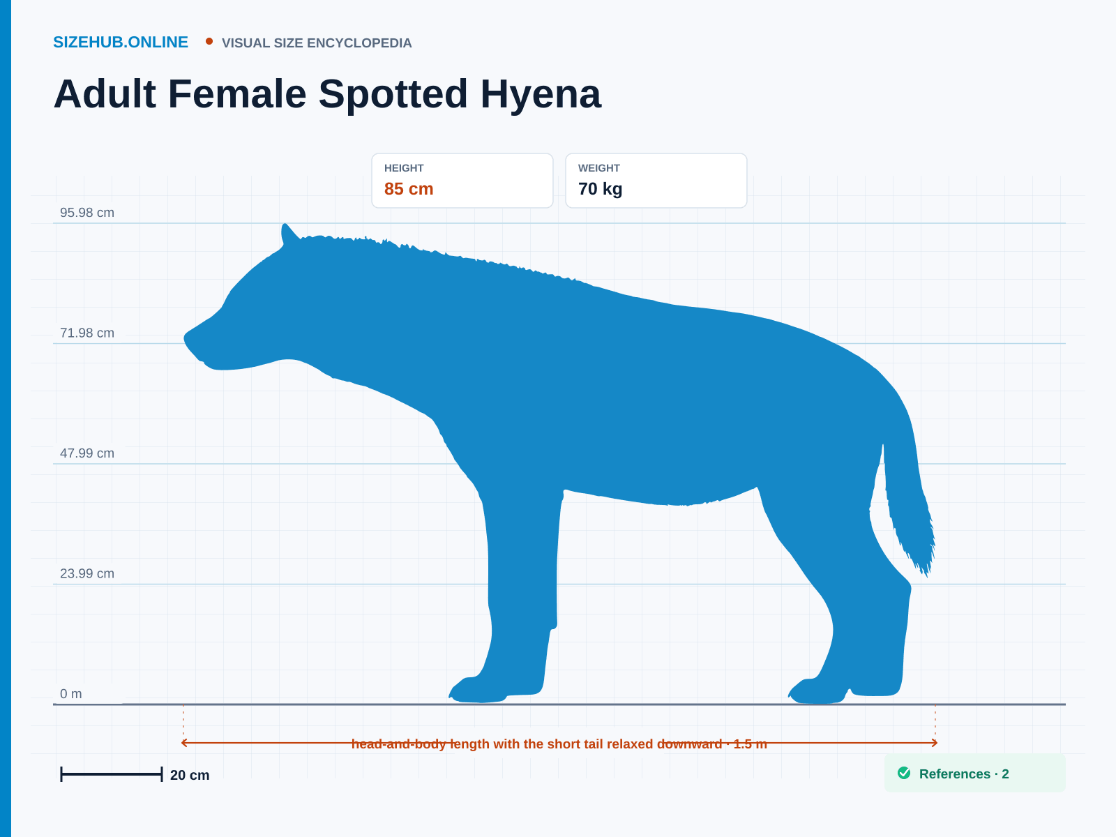 Adult Female Spotted Hyena: Size infographic · Height 85 cm · Length 1.5 m