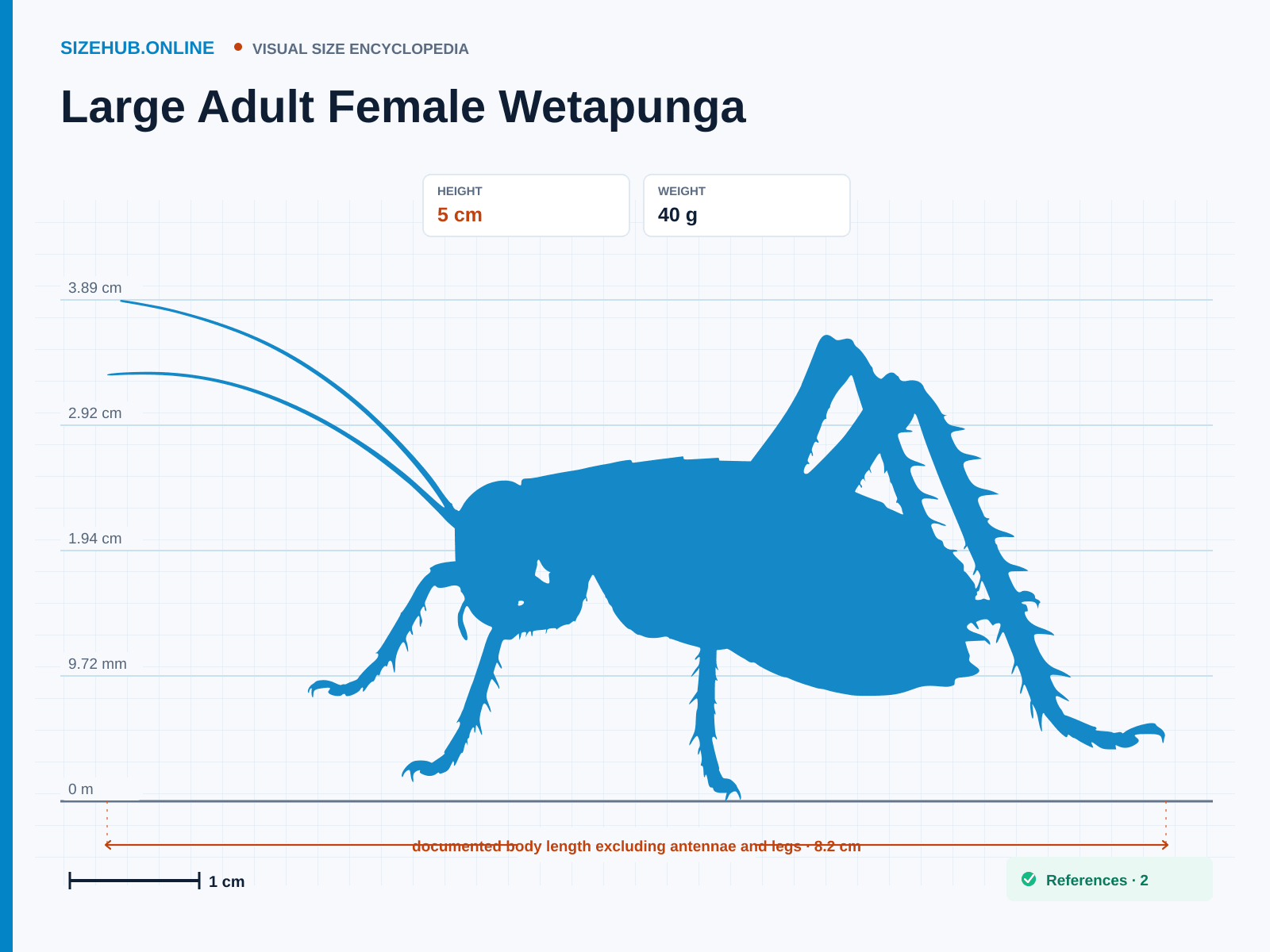 Large Adult Female Wetapunga: Size infographic · Height 5 cm · Length 8.2 cm · Width 6 cm