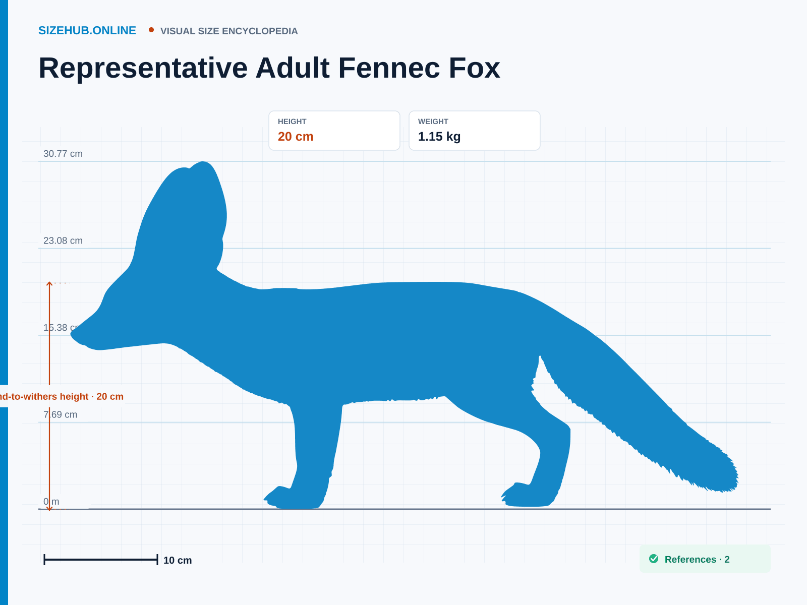 Representative Adult Fennec Fox: Size infographic · Height 20 cm