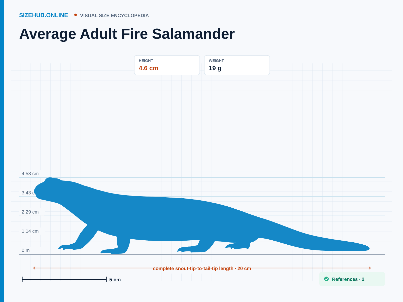 Average Adult Fire Salamander: Size infographic · Height 4.6 cm · Length 20 cm · Width 4.5 cm