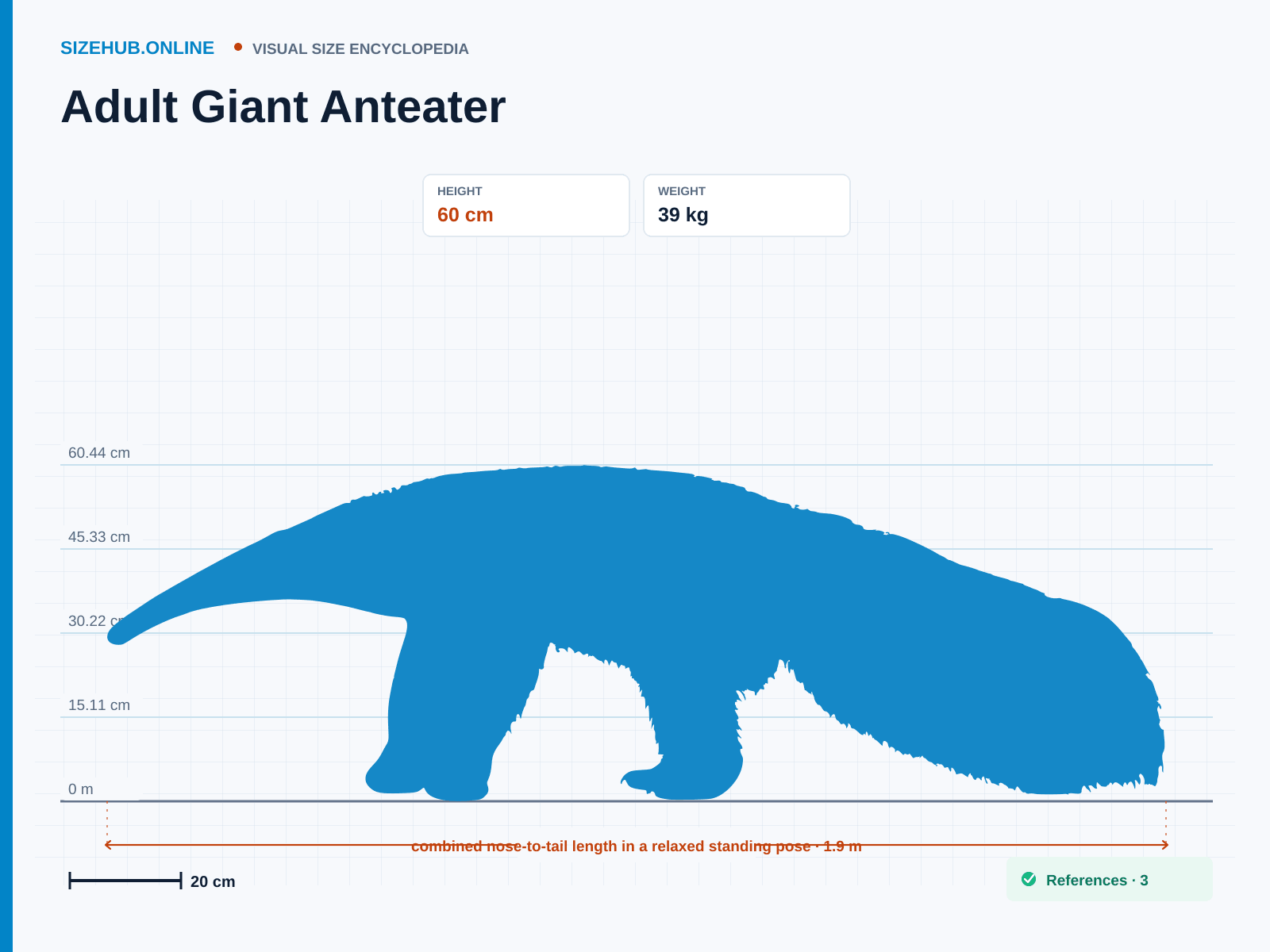 Adult Giant Anteater: Size infographic · Height 60 cm · Length 1.9 m