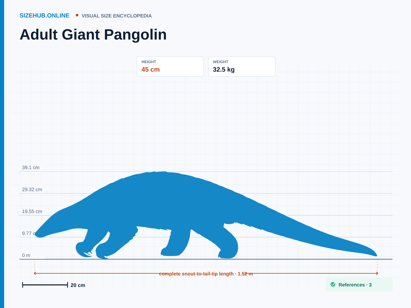 Adult Giant Pangolin: Size infographic · Height 45 cm · Length 1.52 m · Width 38 cm