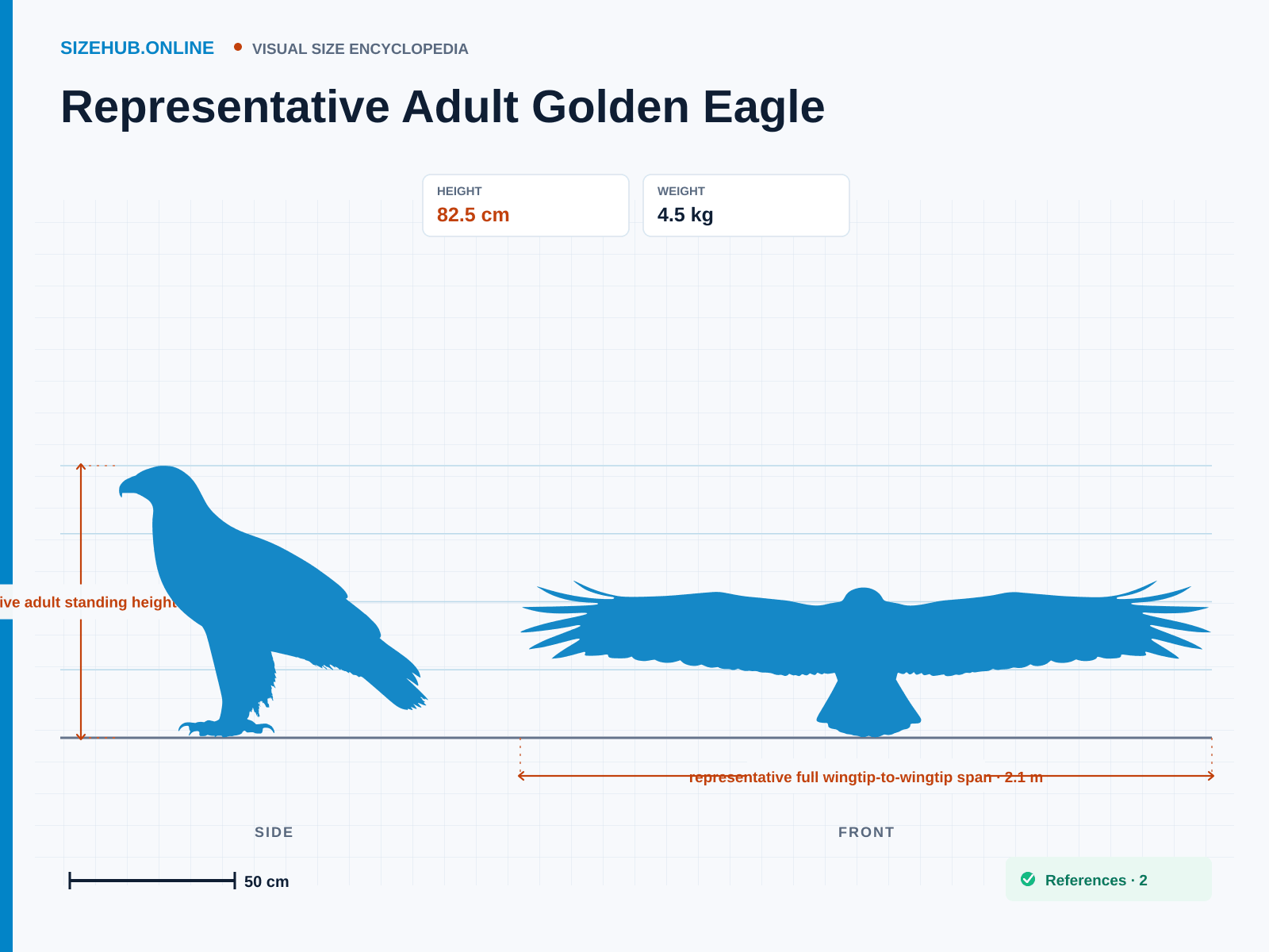 Representative Adult Golden Eagle: Size infographic · Height 82.5 cm · Width 2.1 m