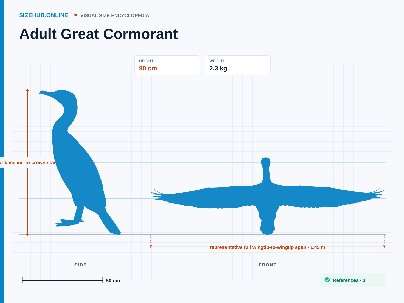 Adult Great Cormorant: Size infographic · Height 90 cm · Width 1.45 m