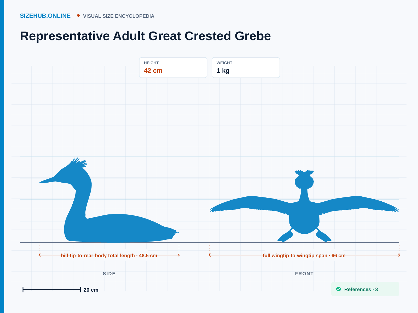 Representative Adult Great Crested Grebe: Size infographic · Height 42 cm · Length 48.5 cm · Width 66 cm