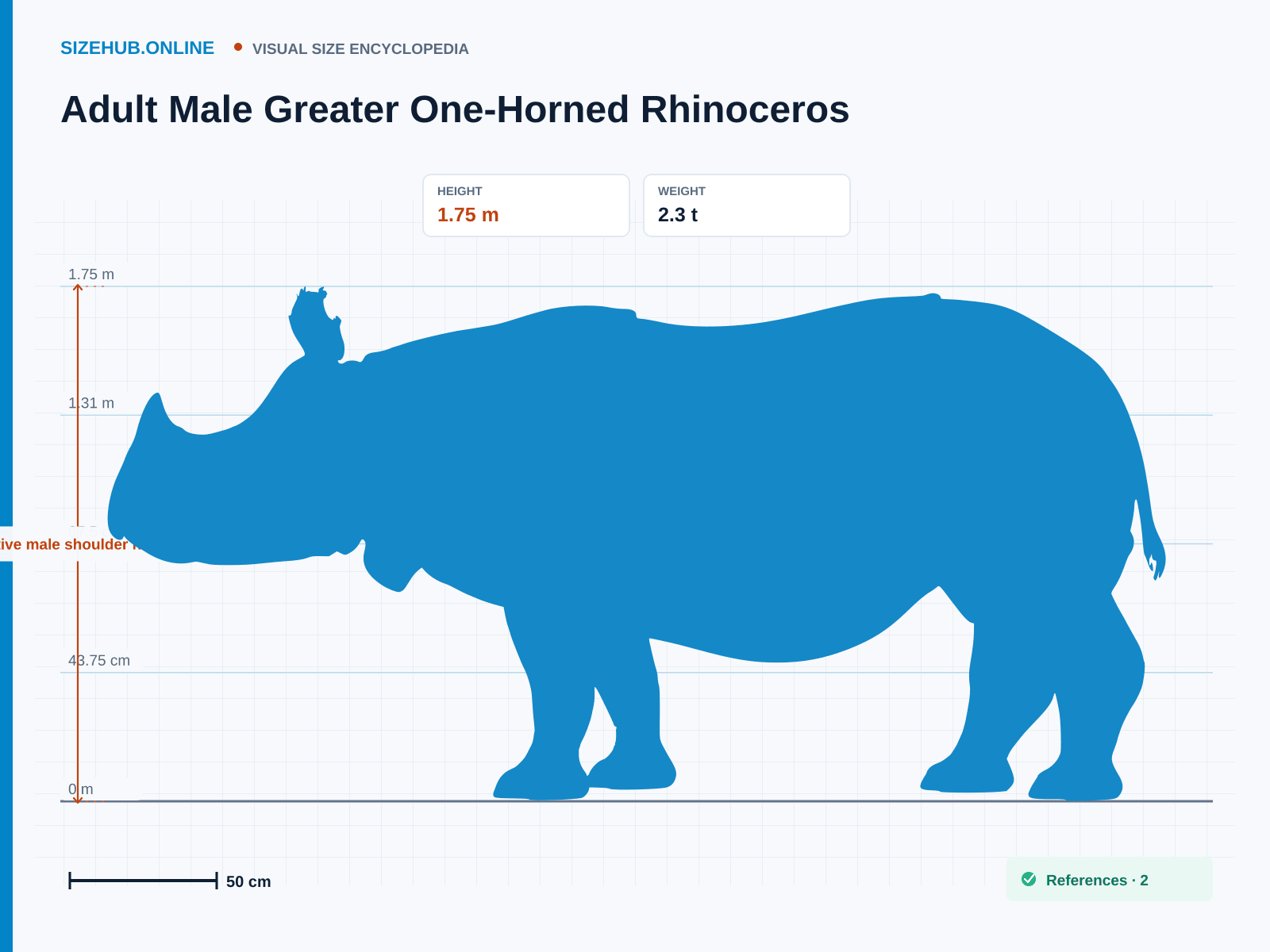Adult Male Greater One-Horned Rhinoceros: Size infographic · Height 1.75 m · Length 3.7 m