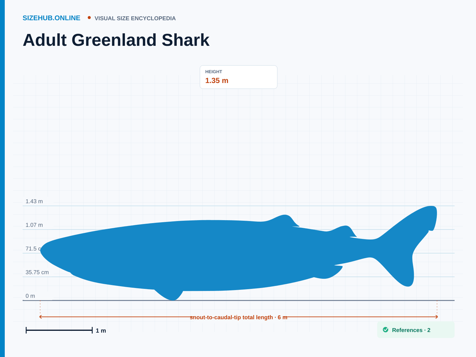 Adult Greenland Shark: Size infographic · Height 1.35 m · Length 6 m