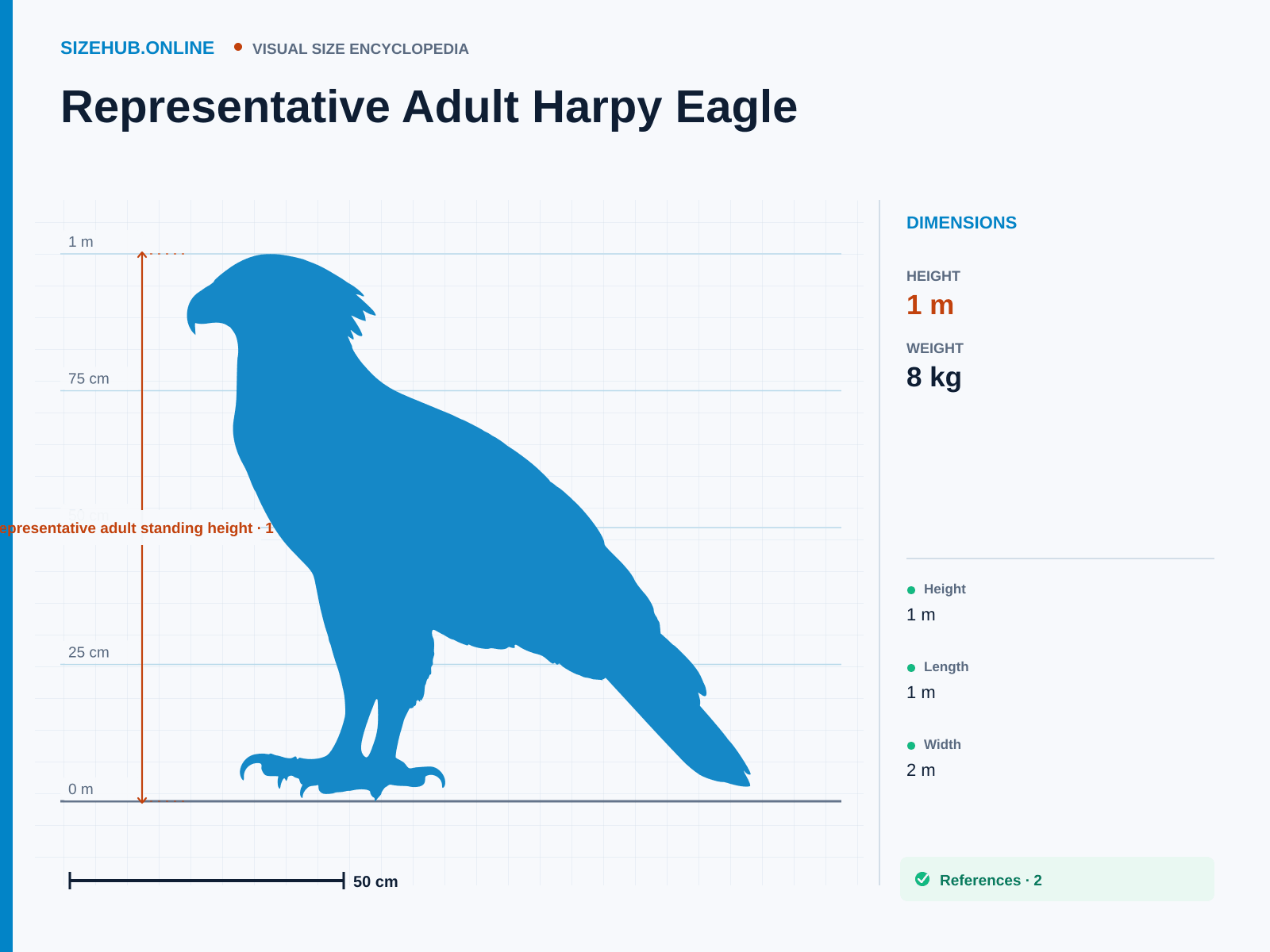 Representative Adult Harpy Eagle: Size infographic · Height 1 m · Length 1 m · Width 2 m