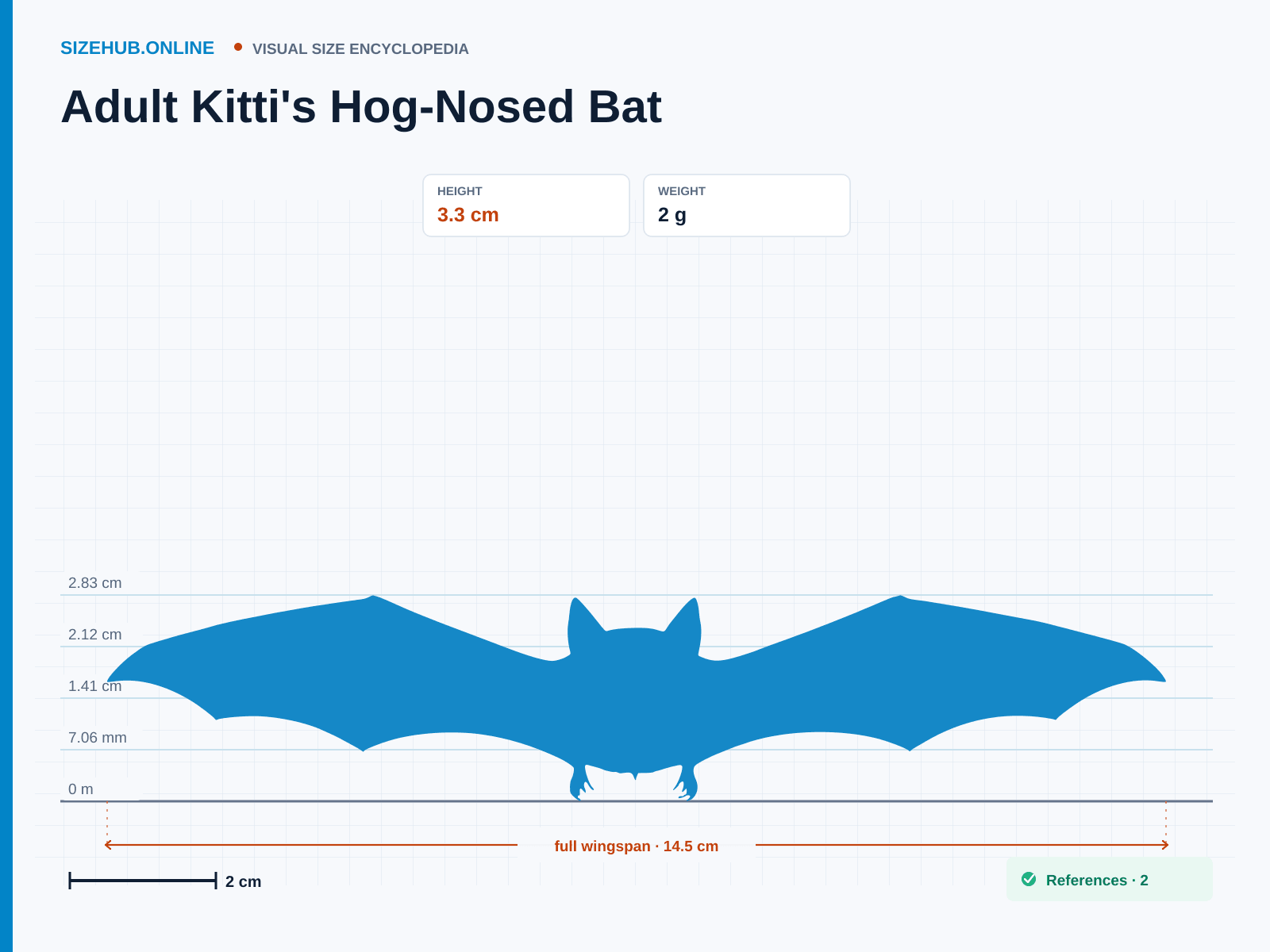 Adult Kitti's Hog-Nosed Bat: Size infographic · Height 3.3 cm · Width 14.5 cm