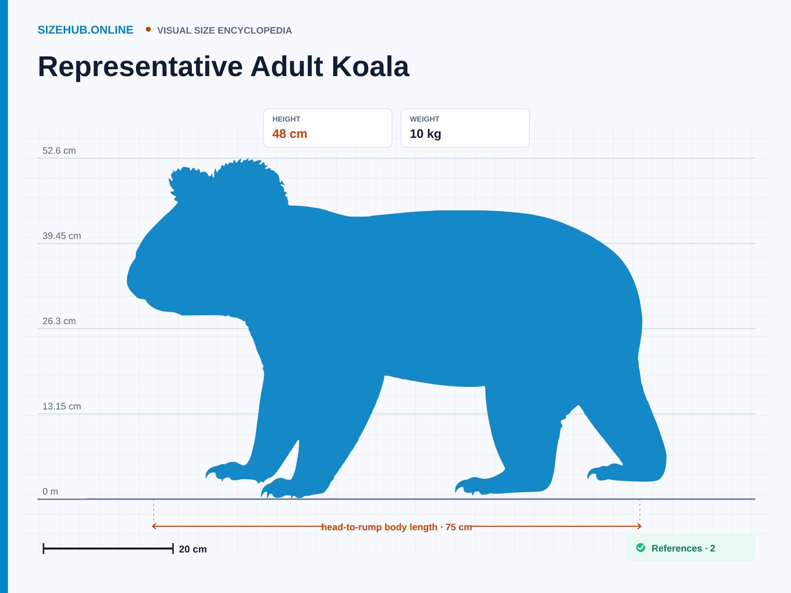 Representative Adult Koala: Size infographic · Height 48 cm · Length 75 cm