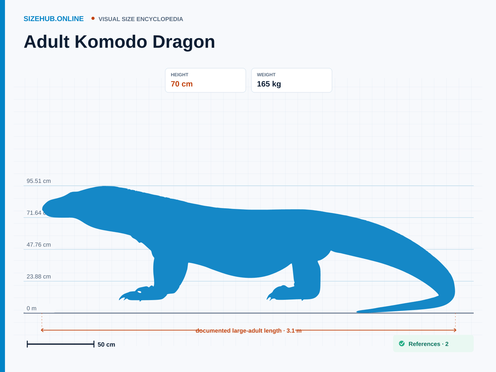 Adult Komodo Dragon: Size infographic · Height 70 cm · Length 3.1 m · Width 60 cm