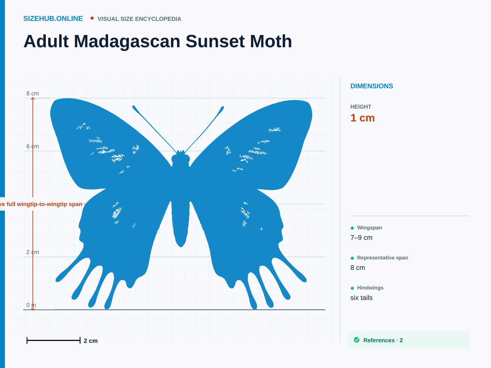 Adult Madagascan Sunset Moth: Size infographic · Height 1 cm · Length 7.5 cm · Width 8 cm