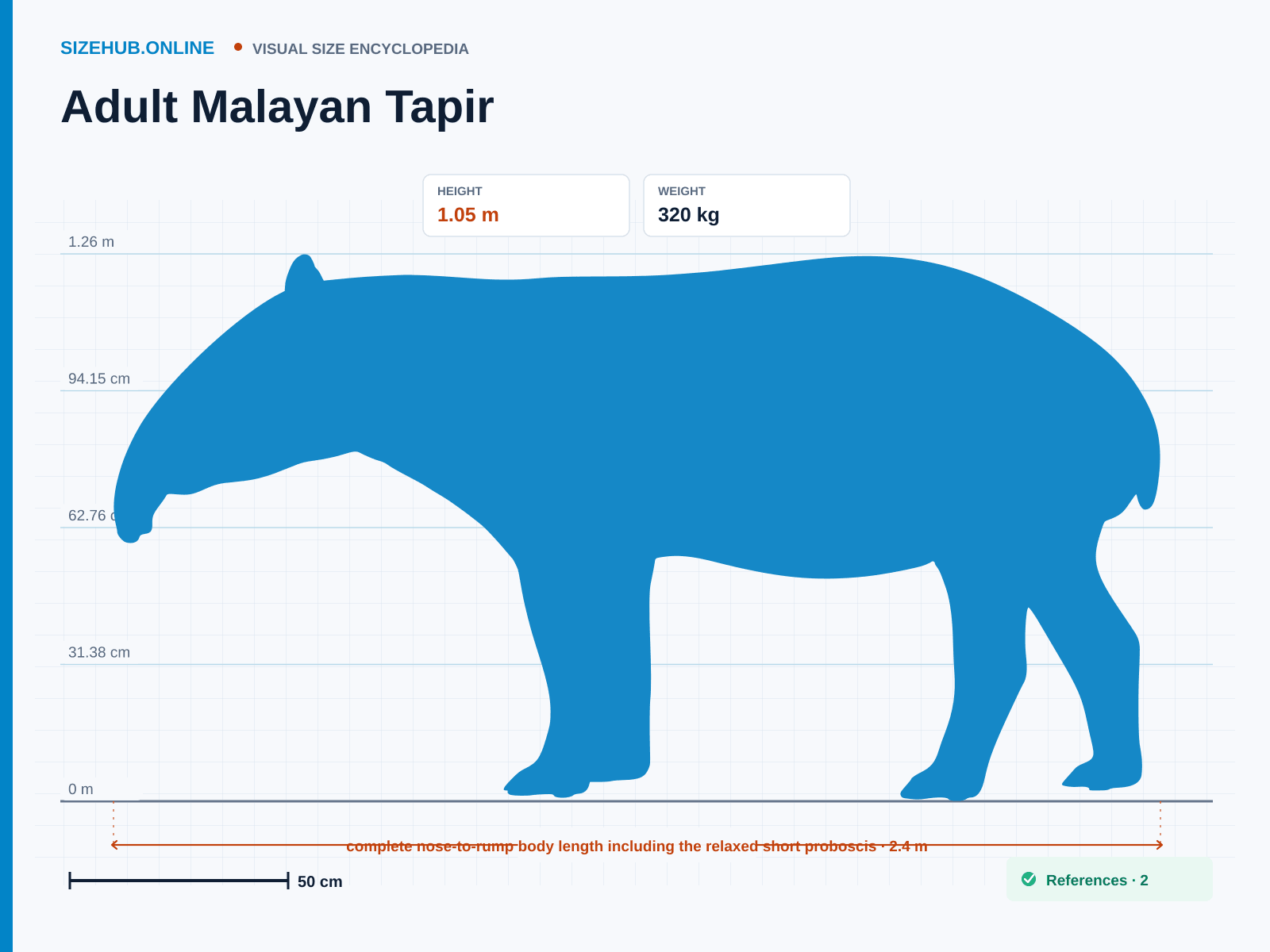 Adult Malayan Tapir: Size infographic · Height 1.05 m · Length 2.4 m