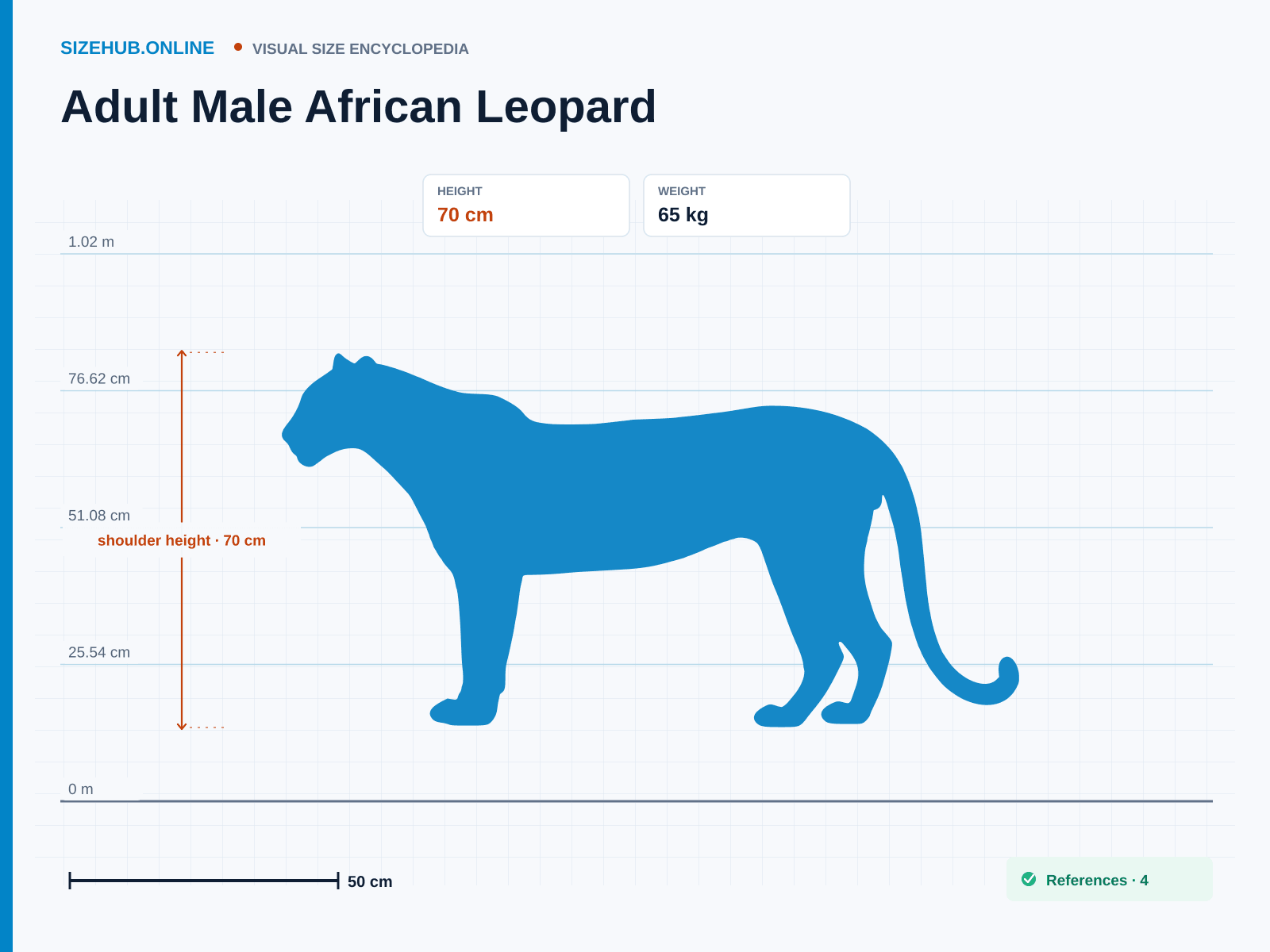 Adult Male African Leopard: Size infographic · Height 70 cm · Length 2.1 m