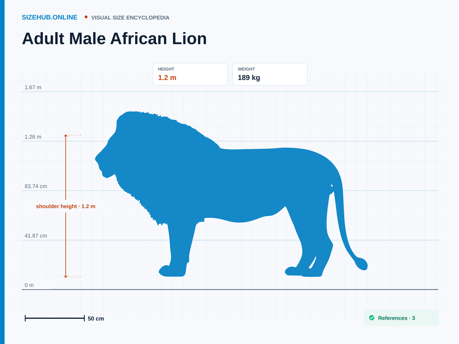 Adult Male African Lion: Size infographic · Height 1.2 m · Length 3 m